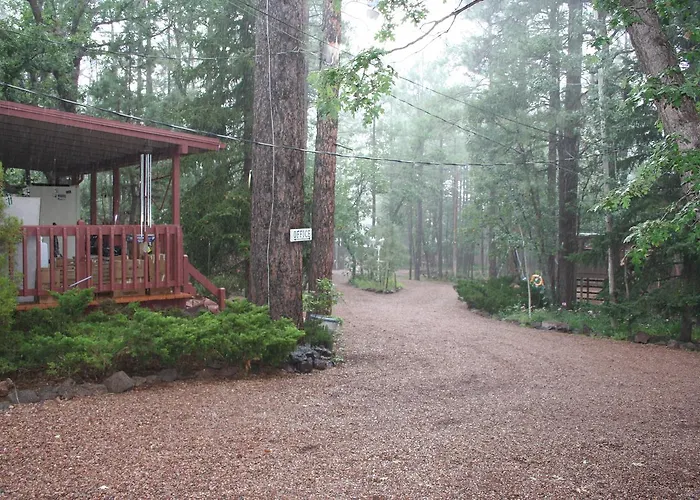 Northwoods *